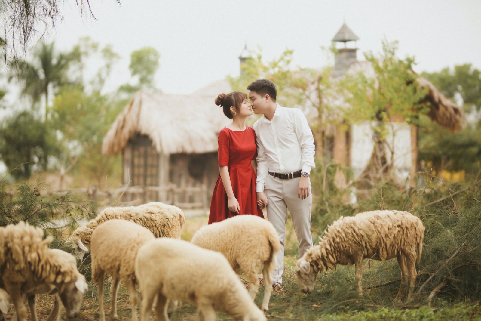 A man and a woman in a farm surrounded by sheep